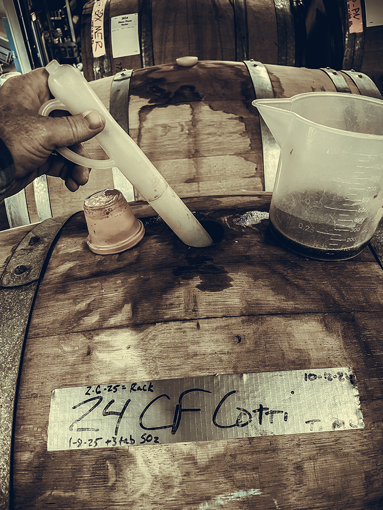 Andrew Cotti Wines